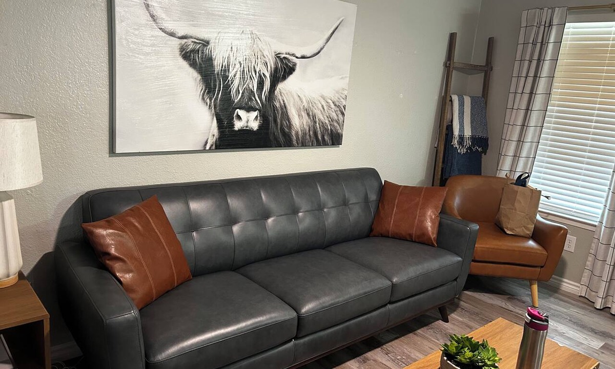 Central Arlington House | 10 Min walk to AT&T Stadium!