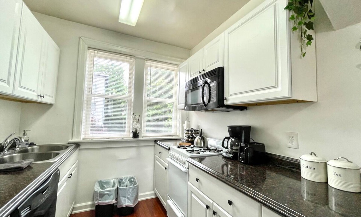 St. Louis Apartment | 6653 1S | Beautiful Unit Near Forest Park