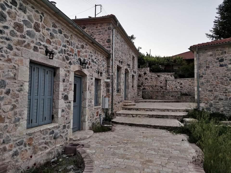 Levidhion House | AMELIE
