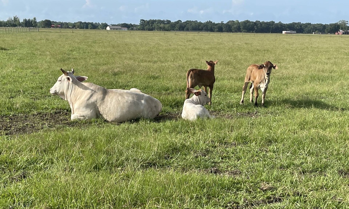 Beaumont House | Barndominium on 40 acre farm! Long term rental close To Beaumont & Mid-County