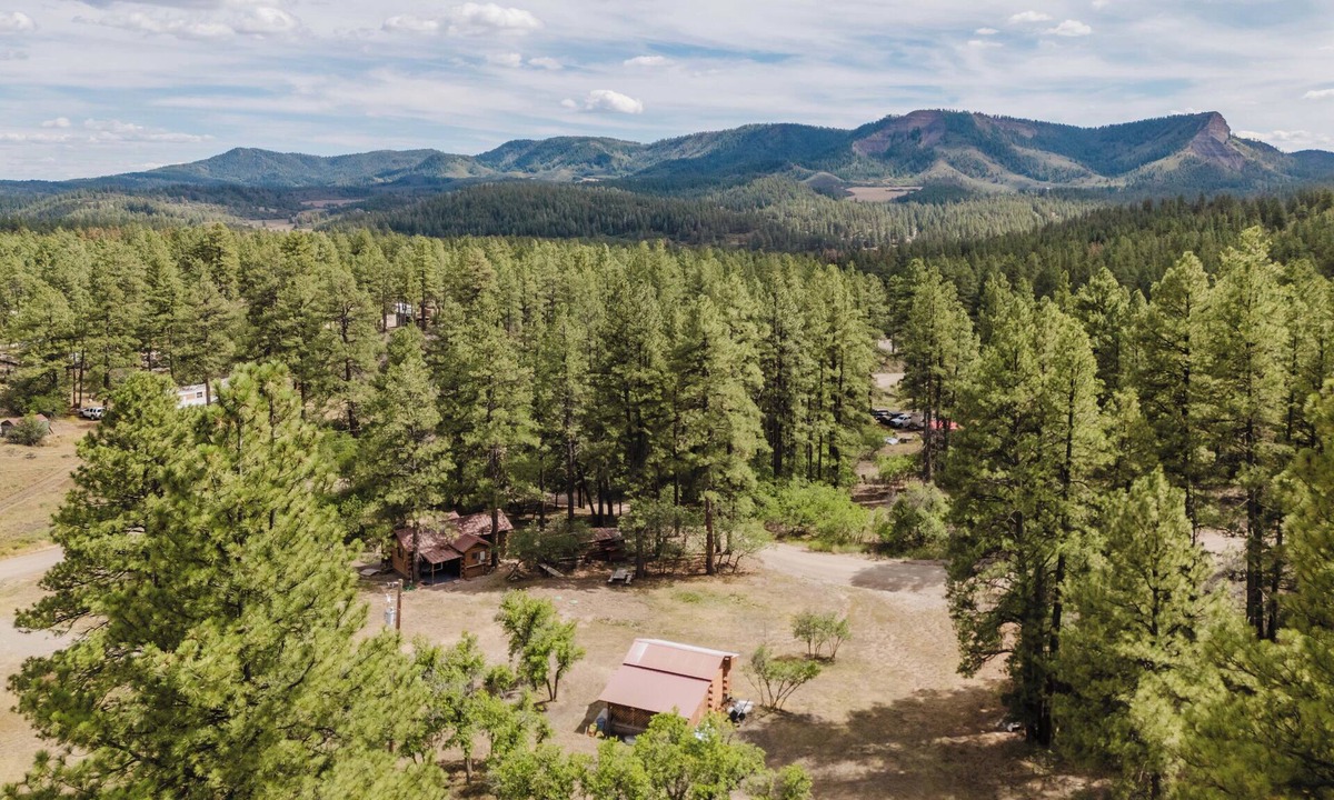 Pagosa Springs Cabin | Bear's Den