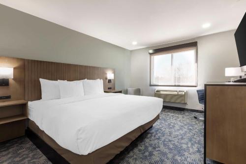Wichita Falls Hotel | Best Western North Side Inn