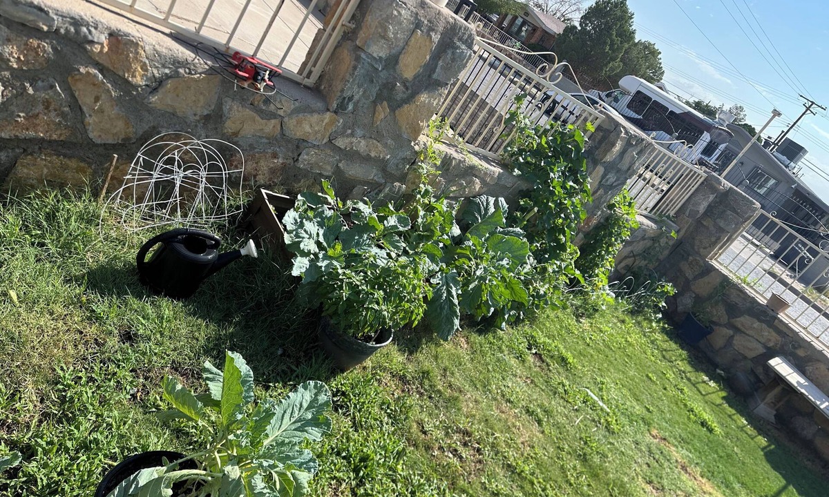 Northeast El Paso Bed & Breakfast | Bridgeton suites