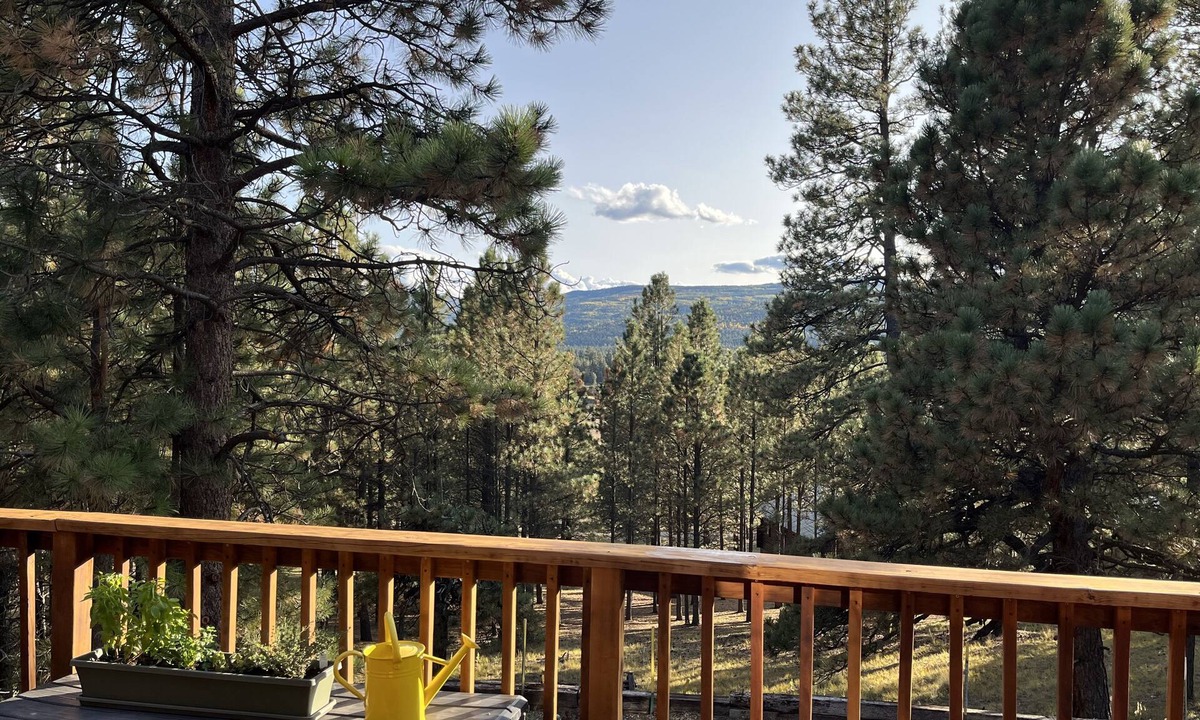 Angel Fire Cabin | Cozy cabin in the woods. 12 min from the Angel Fire ski resort; 6 to golf course