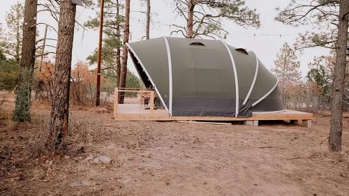 McIntosh Other | Cozy Family Glamping Escape with Heritage Orchard near Mountainair in Torreon, New Mexico