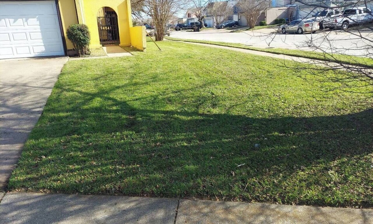 Fort Worth House | Cozy & Quant: Spacious 4-bedroom townhome in delightful Fort Worth.