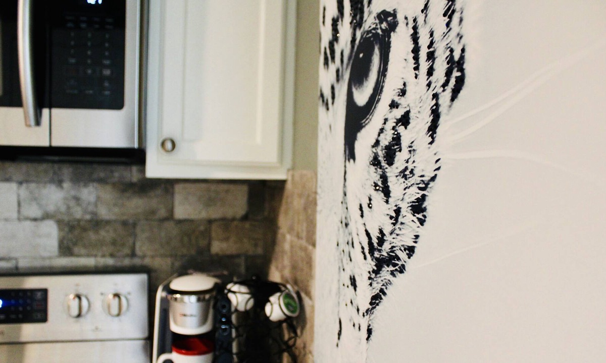 Leon Valley House | CYC Big Cat HideAway