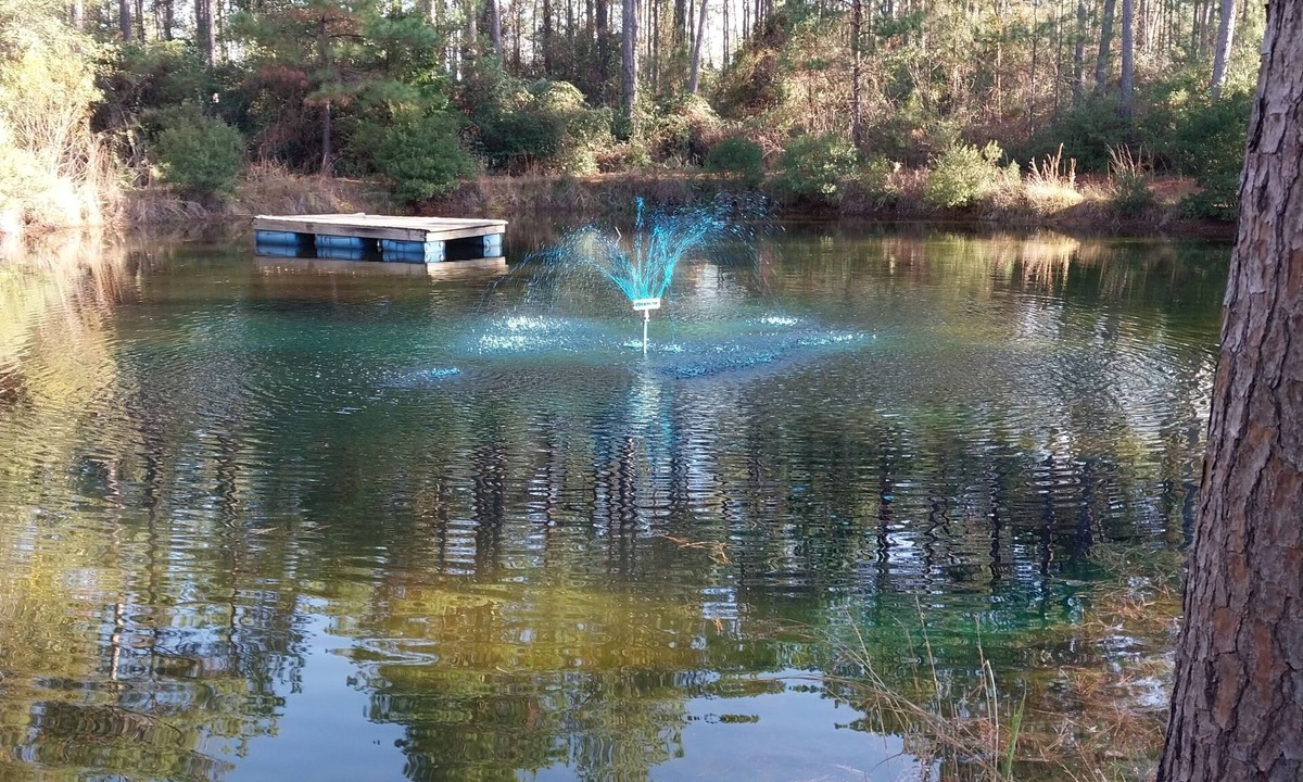 Centralia Cabin | Escape the city life and relax in the piney woods of east Texas.