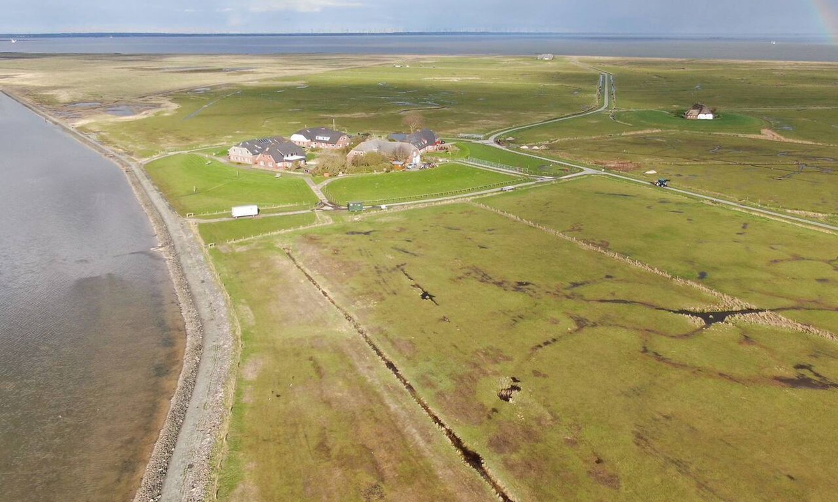 Langeneß Apartment | Experience relaxing days in our cozy apartment on Langeneß Hallig