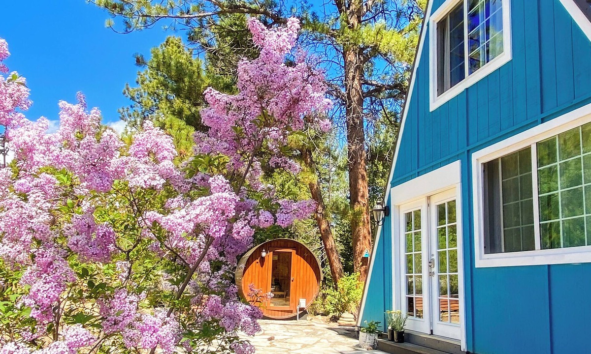Grant Cabin | Hygge Chalet w Private Trail, Sauna and EV Charger