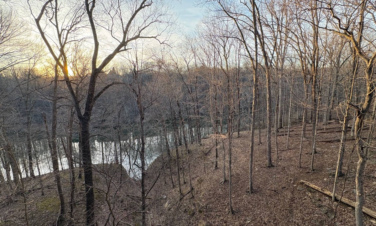 Avoca Condo | Lake Monroe treehouse - Bloomington