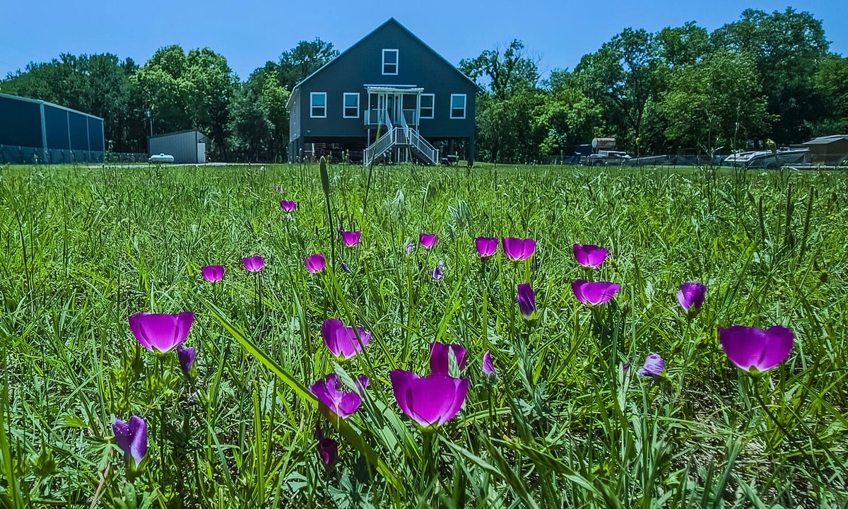 Dennis House | Luxury Waterfront Estate Sleeps 19 - Weddings, Events, Cinema, Dock at Tin Top