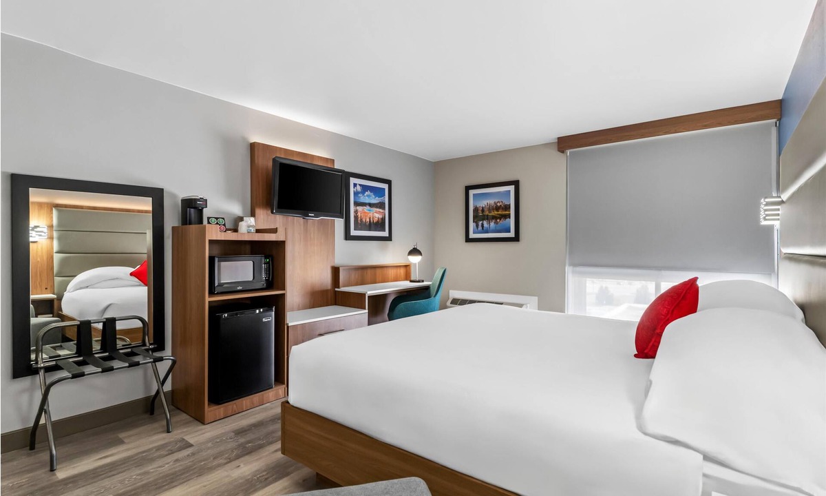 Cheyenne Hotel | Modern Room Deluxe One Queen Bed Pet Friendly Ideal for Both Work & Play