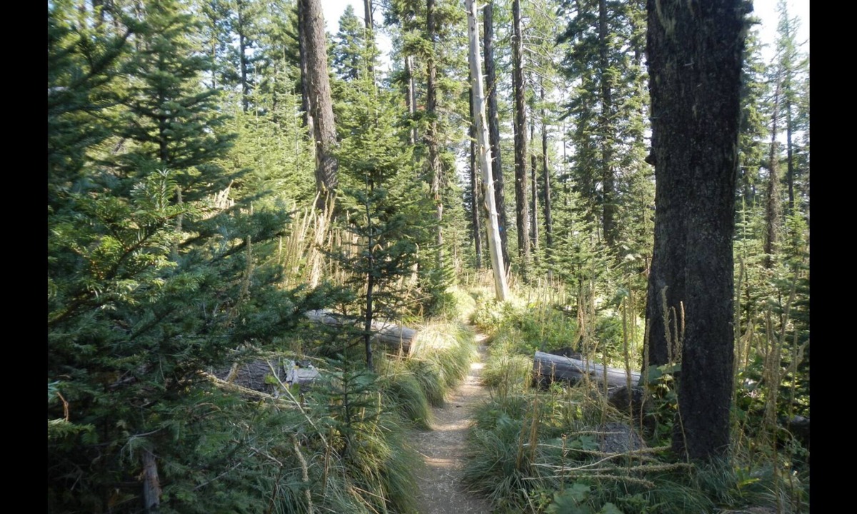 Mead Condo | MT. SPOKANE CONDO~W POOL, HOT TUB, WIFI BALCONY & AC~UPDATED STUDIO SLEEPS 4
