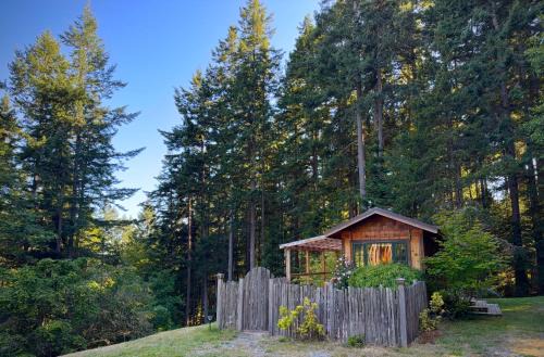 Eastsound House | Orcas Island Forest Grove, A Cozy Naturalist Retreat