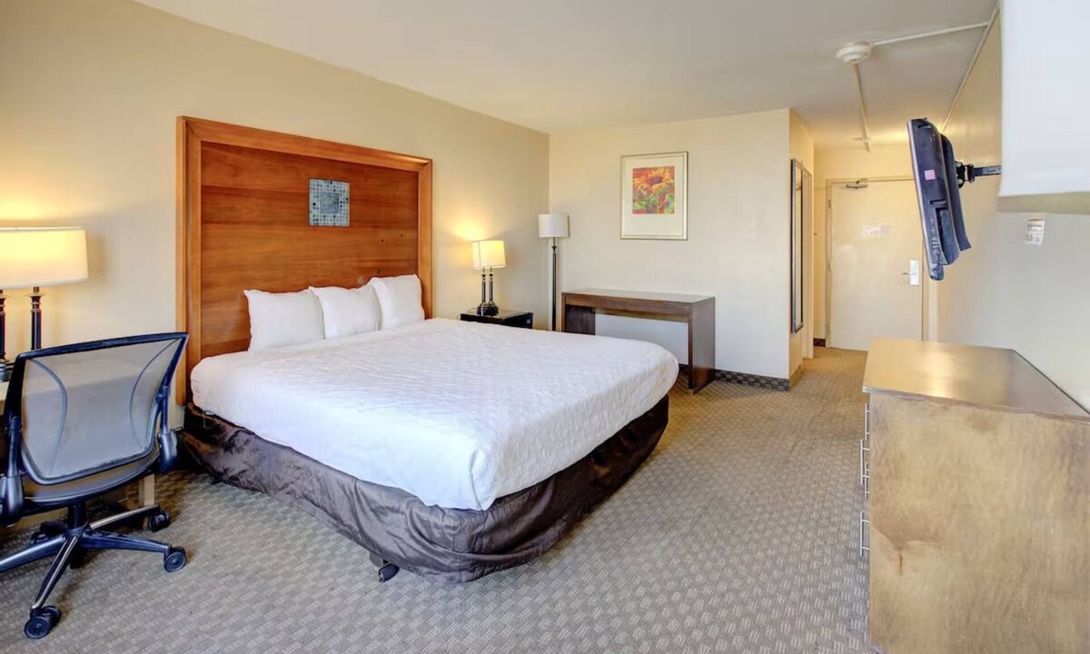 Duncanville Hotel | Quiet & Affordable Room w/Free Parking Near Dallas Zoo – Just 8 Miles away