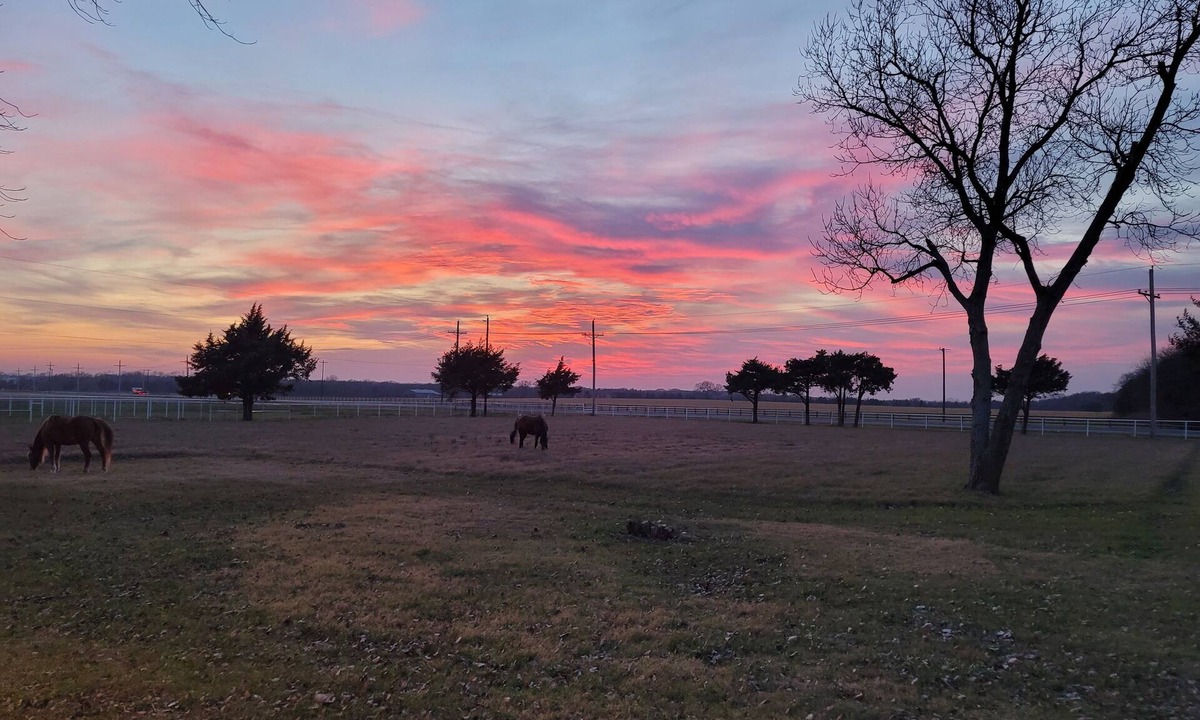 Pilot Point House | Ranch at Lake Ray Roberts - 10 Acres ranch, walk to lake 4 Bed 2 Bath
