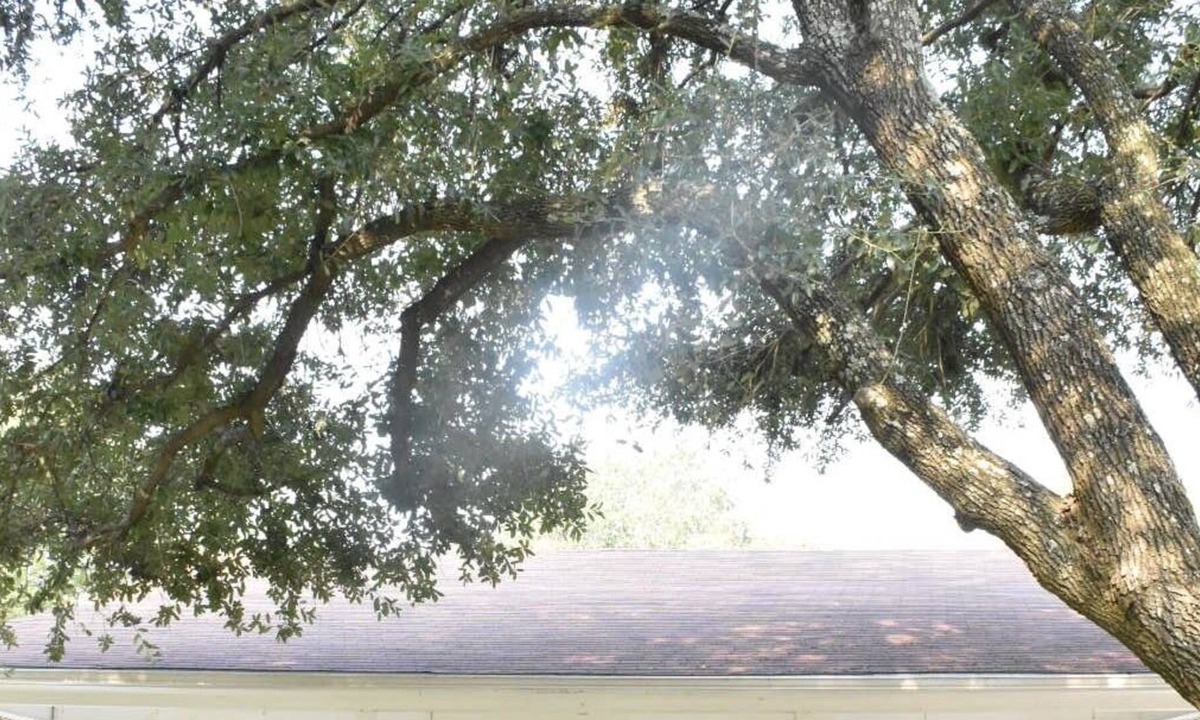 Royse City Cottage | Remodeled 3br/2ba cottage in quiet neighborhood