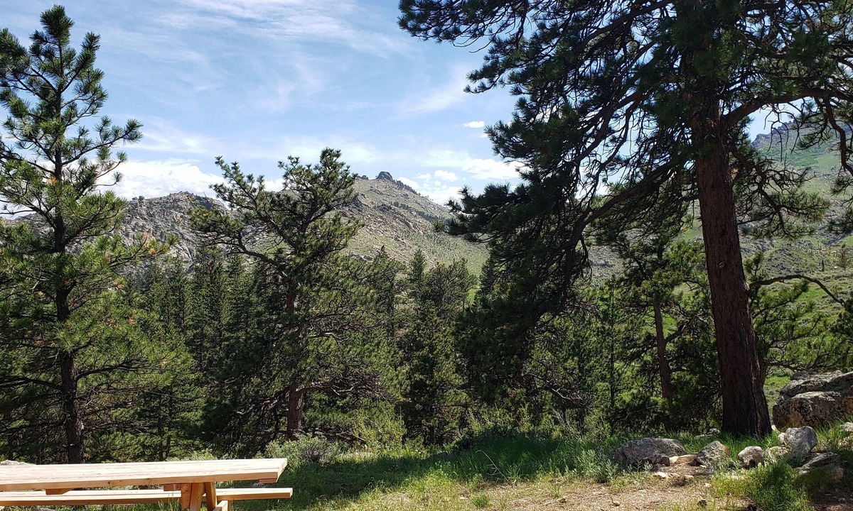Wheatland Cabin | Remote peaceful cabin, great wildlife viewing, hunting and fishing close by