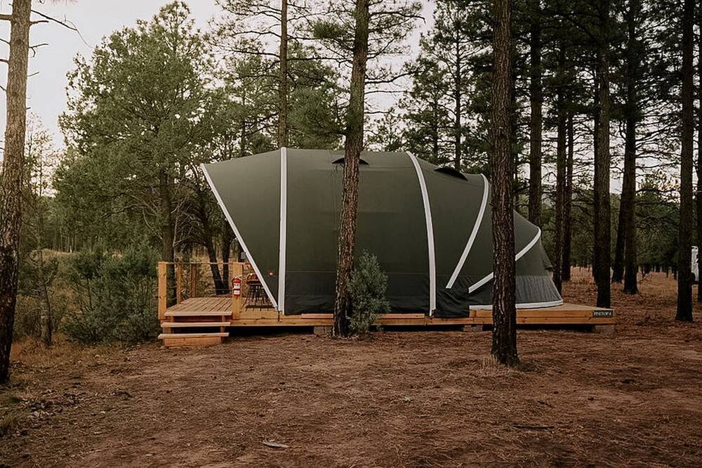 McIntosh RV Rental | Scenic Glamping Tent with Orchard & Farm Animals near Mountainair in Torreon, New Mexico