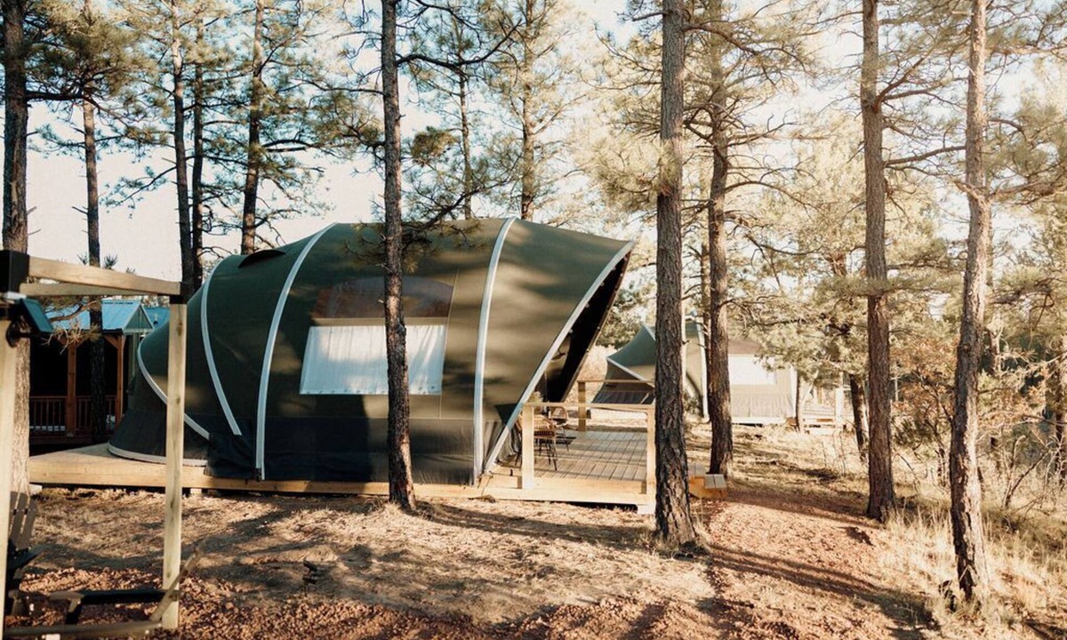 McIntosh Cabin | Scenic Mountain Yurt with Queen + Bunks