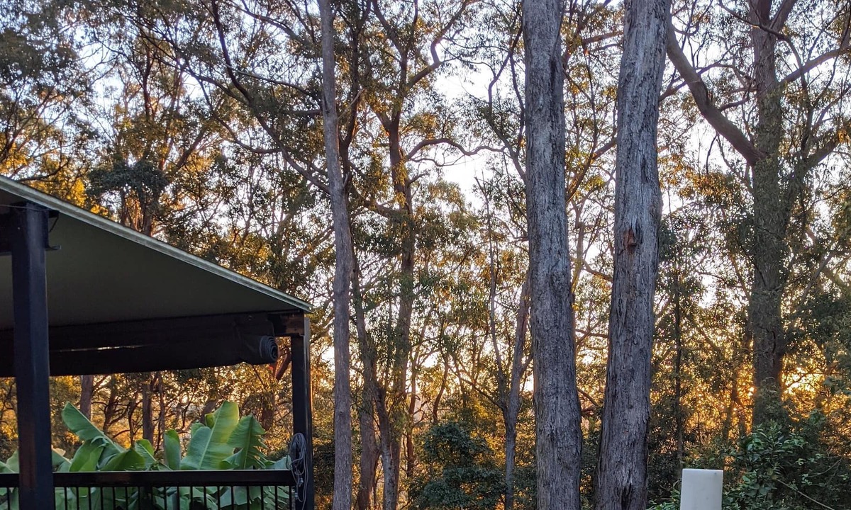 Springbrook Cottage | Springbrook Gold Coast Hinterland Hikers Cottage