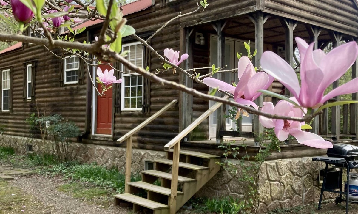 Mena Cabin | Sunny Brook - Sunny Brook Cabin, wooded, private with stream