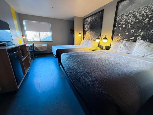Windsor Hotel | Super 8 by Wyndham Windsor