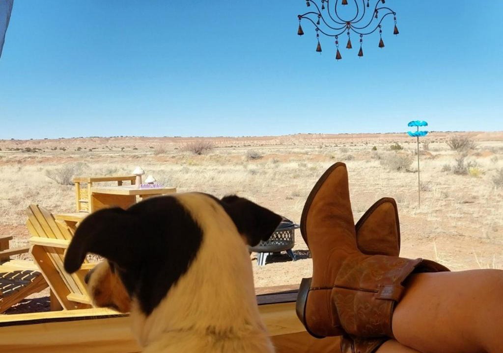 Chambers Other | Tentrr Signature Site - Million Stars Campsite in Petrified Forest - Bliss