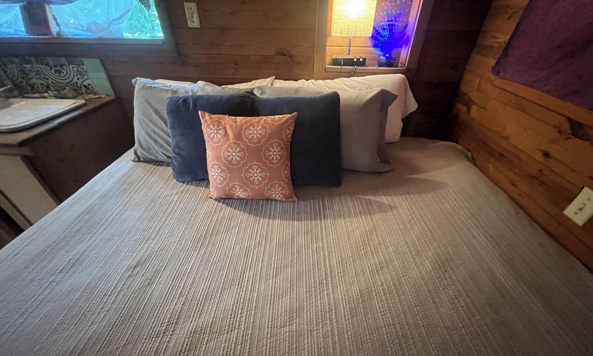 Ozone Cabin | The blue star cabin. buffalo national park.