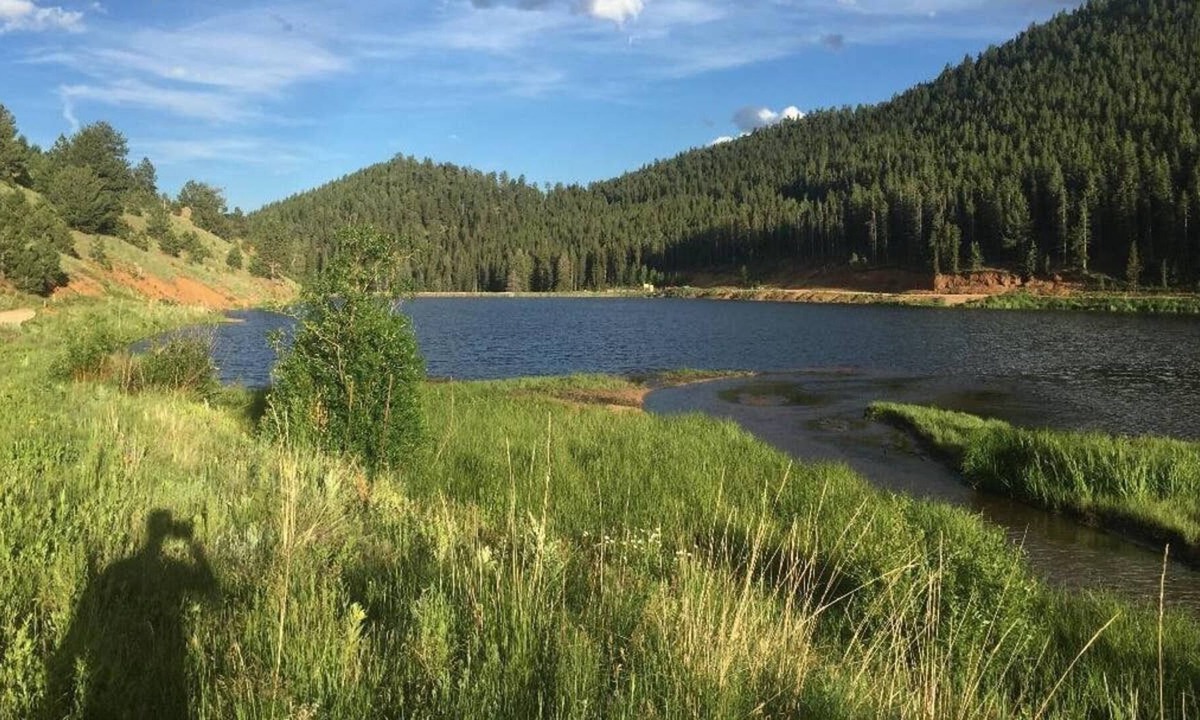Bailey House | Tiny house Near Lake and a Creek right behind the house