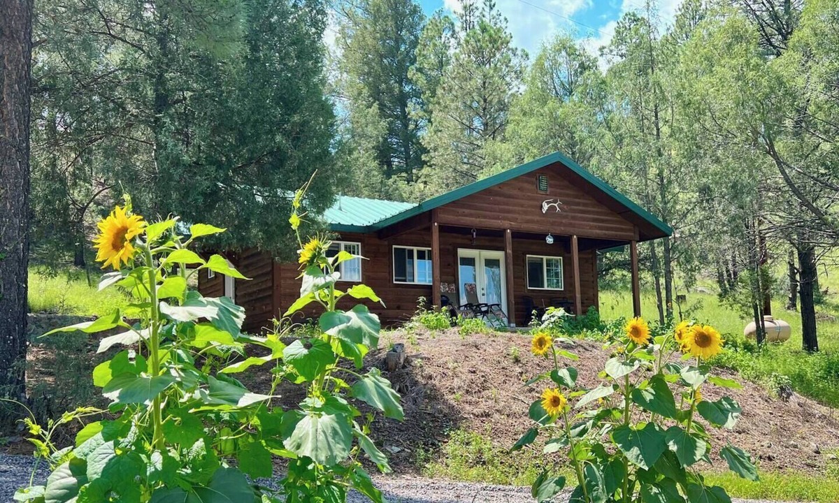 San Lorenzo Cabin | Tranquil escape nestled in the forest on a beautiful horse ranch.