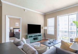 2BR/2BA Executive Suite With Pool, Gym & Fast WiFI