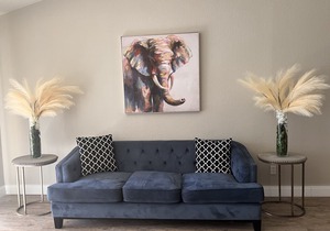 King suite in the heart of Arlington
