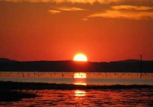 Tentrr State Park Site - Louisiana North Toledo Bend State Park - Lakeview A - Single Camp