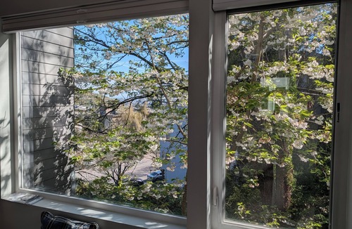 Southeast Magnolia House | 1-Bedroom Seattle Townhome in Safe Area, Easy Access to Downtown & Lumen Field