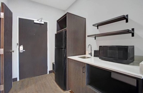 Monahans Apartment | 1 King Bed|Nsmk|Kitchen,Shower