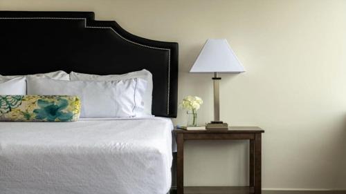 Downtown Dallas Apartment | 16th FL Bold CozySuites with pool, gym #4