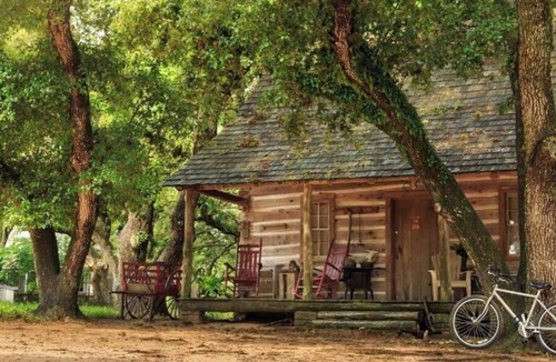 Cat Spring Cabin | 1800-style cedar Log Cabin on Blisswood Ranch with many optional activities!