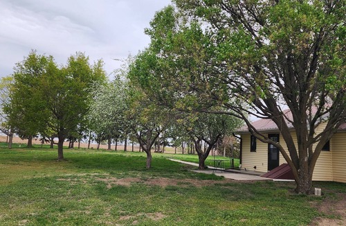 Holmesville Cabin | 2-bedroom country cabin pet friendly and horse boarding