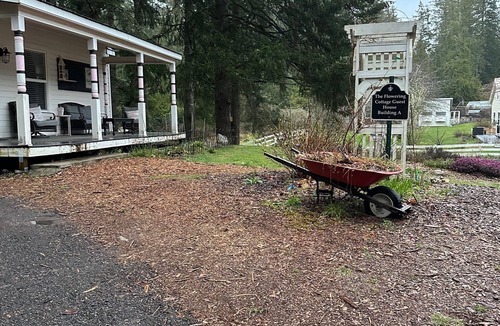 Rollingbay Cottage | 20 acre farm Homestead Flowering Cottage