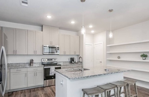 Elmo Apartment | 3 BDR Texas Corporate Housing Professional Apt