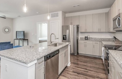 Elmo Apartment | 3 BDR Texas Corporate Housing Professional Apt