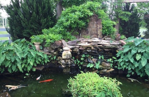 Palestine Bed & Breakfast | 32 Acres of Lush Gardens with Private Cottage. Go on a Texas Foodie Adventure!