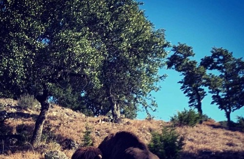 Tarpley House | 7 Canyons Ranch - Comanche Room