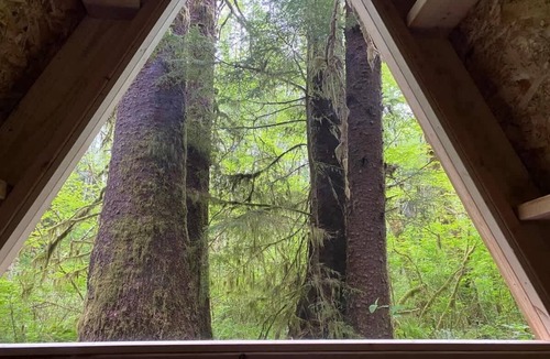 Forks Apartment | A-Frame #17 Shelter near Olympic National Park