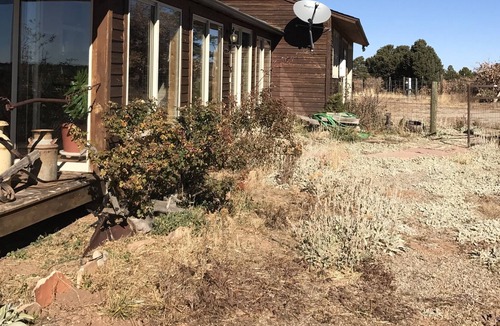 Lewis Other | A Working Alpaca Ranch Near Dolores