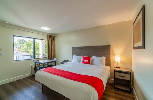 FM 1960 Hotel | Affordable King-Bed Room Ideal for Pet Owners at Houston Stay