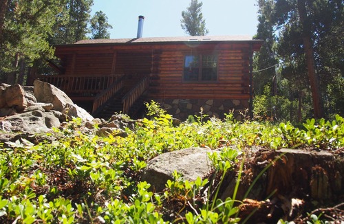 Black Hawk House | Alice's Acres- cozy log home in the woods, close to Nederland and Black Hawk
