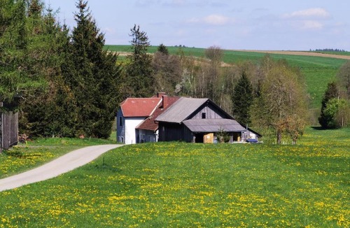 Grafenschlag Other | Almplatz mit Weitblick